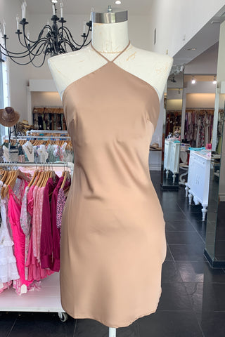 Garner Mini Dress-Nude