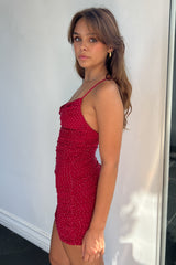 Starlette Dress-Burgundy
