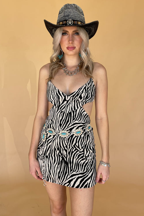 Iggy Mini Dress-Zebra