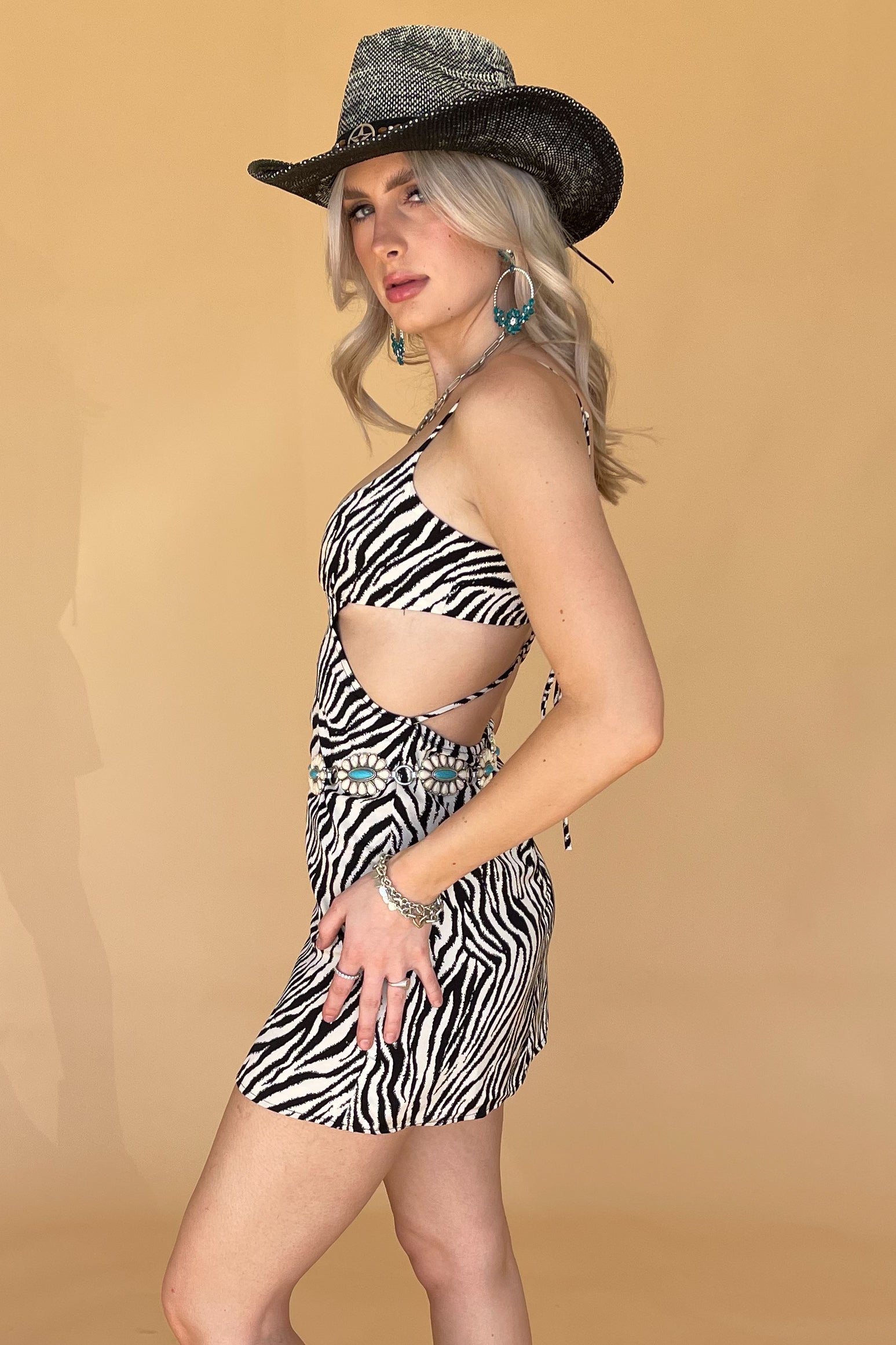 Iggy Mini Dress-Zebra