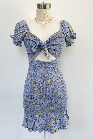 Baraz Mini Dress-Ash Blue
